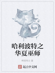 哈利波特之华夏巫师